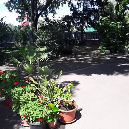 Orchidea Apartmán *