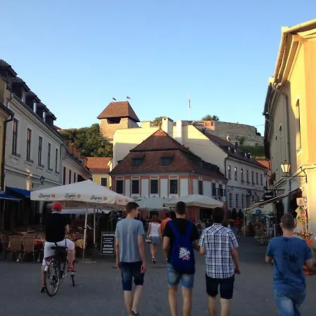 Appartamento Orchidea *