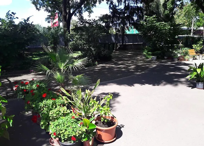 Orchidea Apartment *