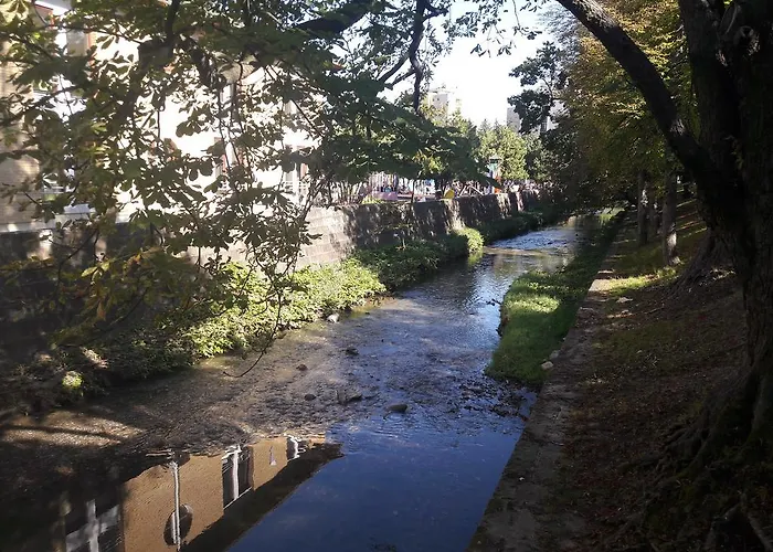 Apartment Orchidea *