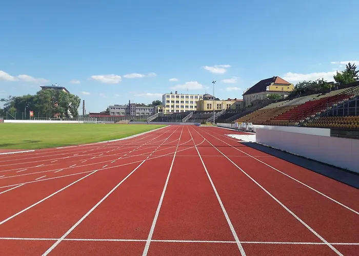 Apartment Orchidea *